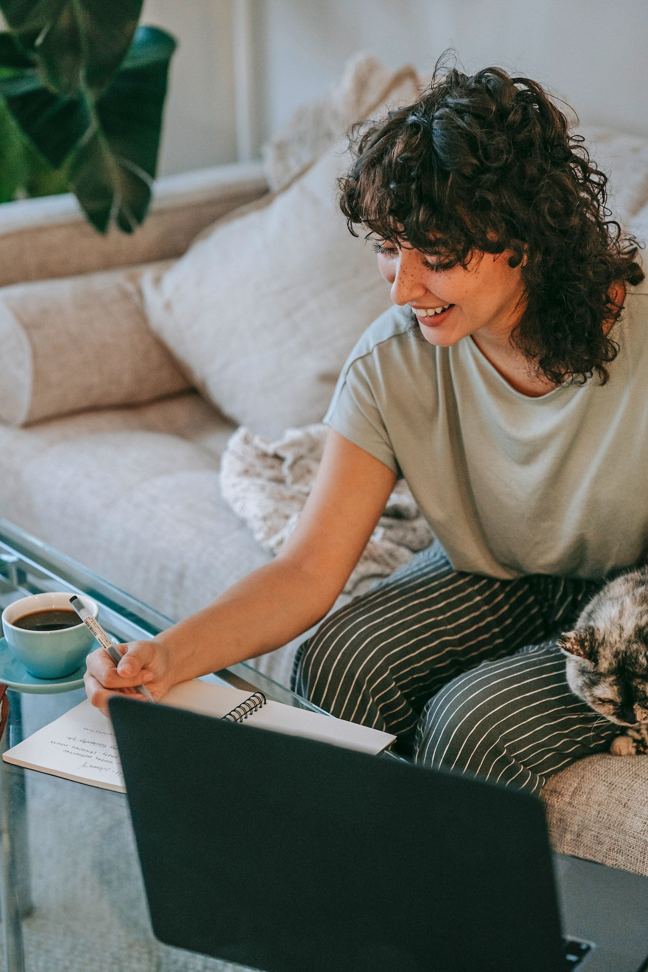 woman grabbing her SEO Action Plan bonuses - photo via Pexels / Sam Lion 