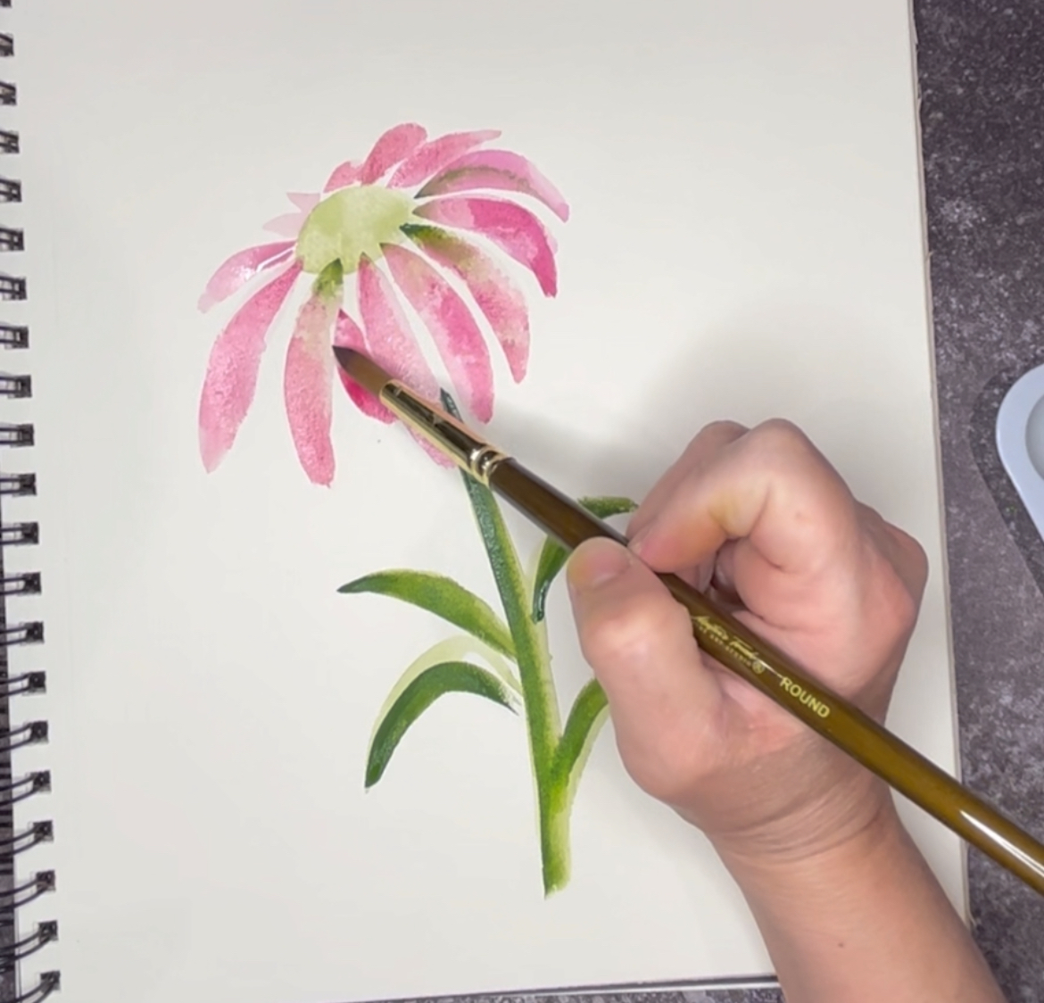a hand painting a coneflower with a brush