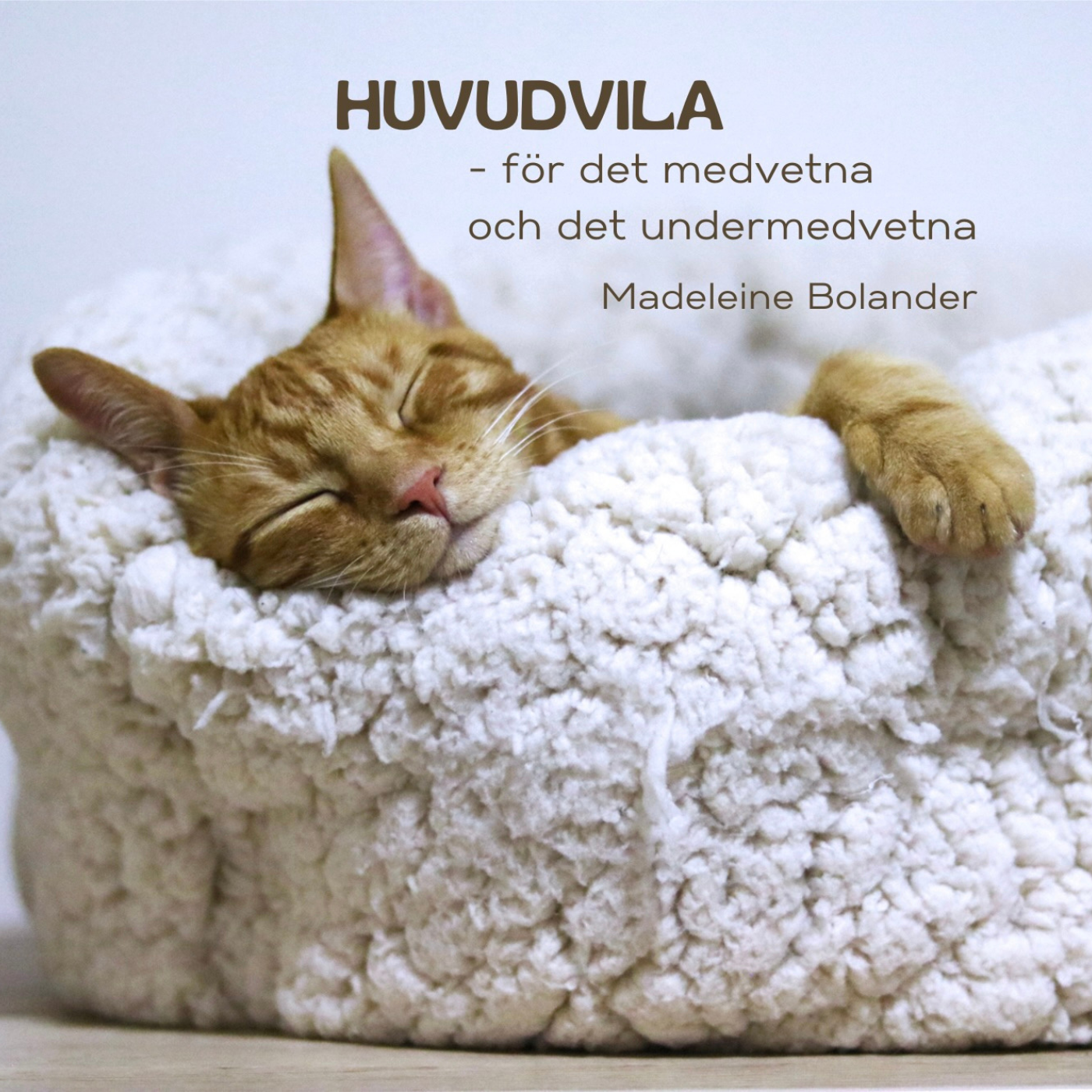 Huvudvila