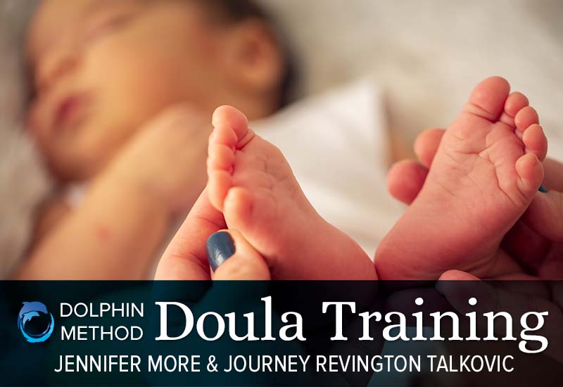 Dolphin Method Doula Training and Certification Course The Dolphin