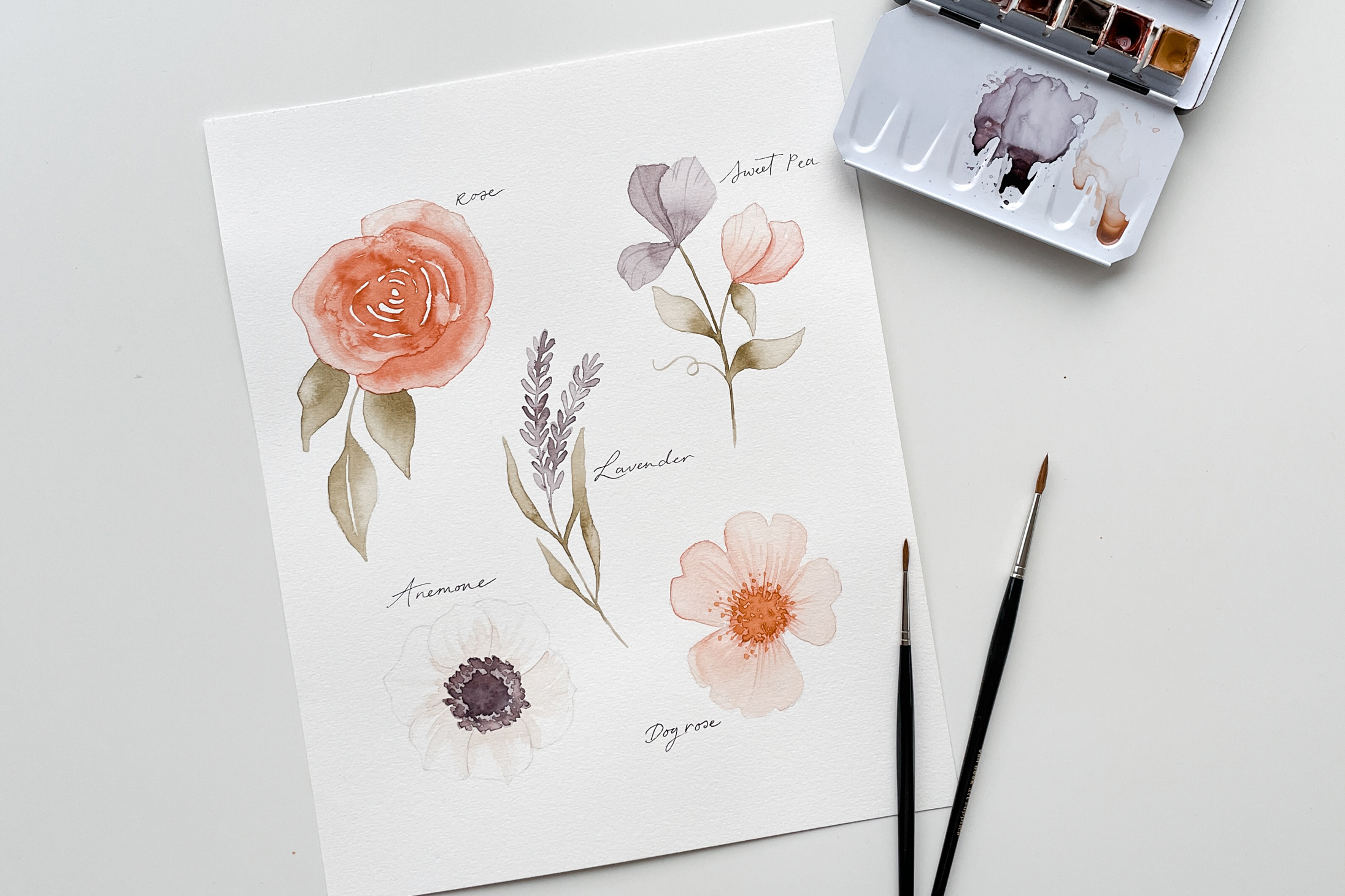 Bloom Creatives online watercolor art classes