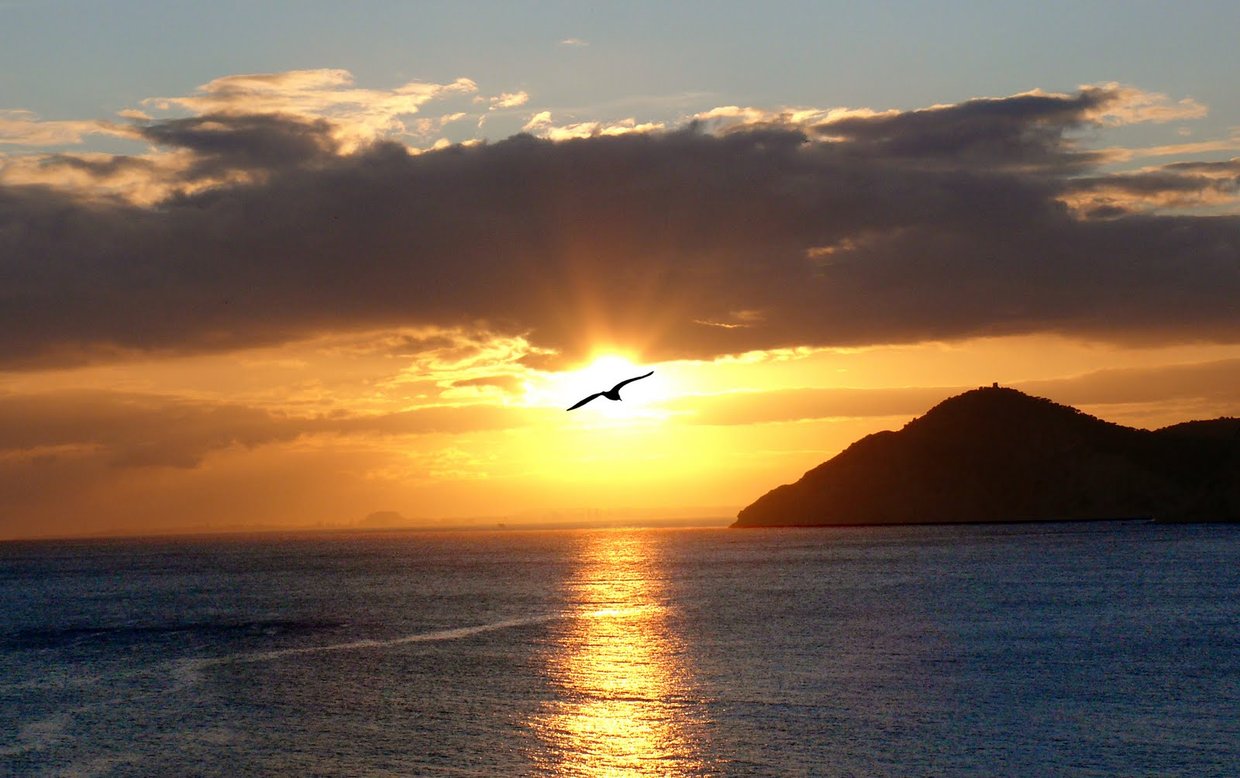A picture of a sunset over the ocean with a bird flying