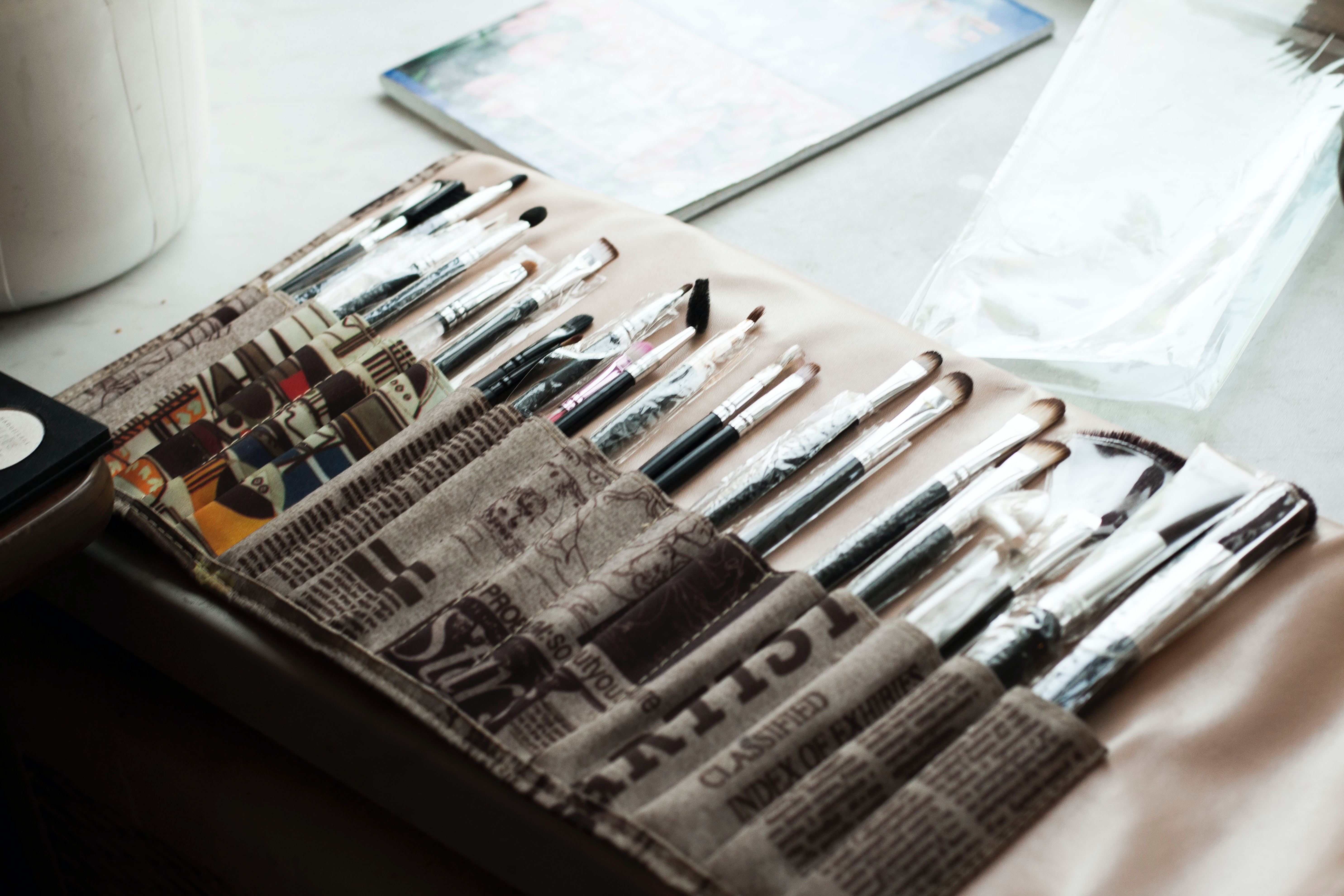 paint brushes in a carrying case