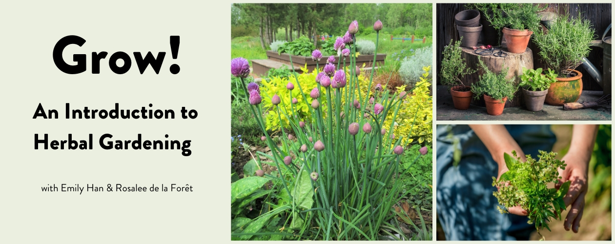 Grow! An introduction to herbal gardening with Emily Han and Rosalee de la Forêt