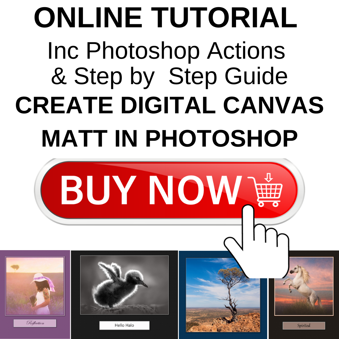 photoshop actions to create digital canvas mat in photoshop