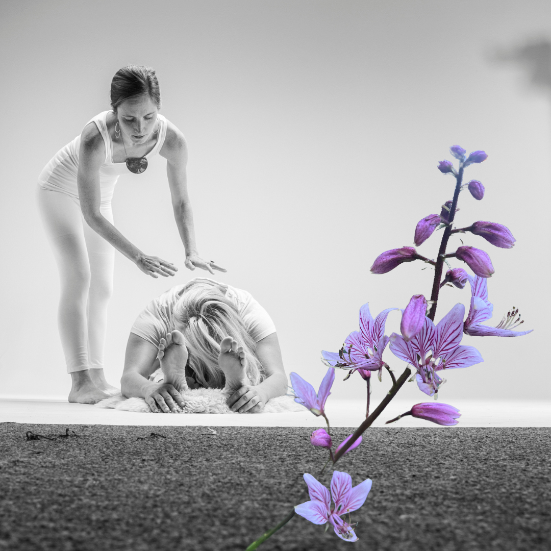 Kari stands over Rachel, who is in a seated forward bend