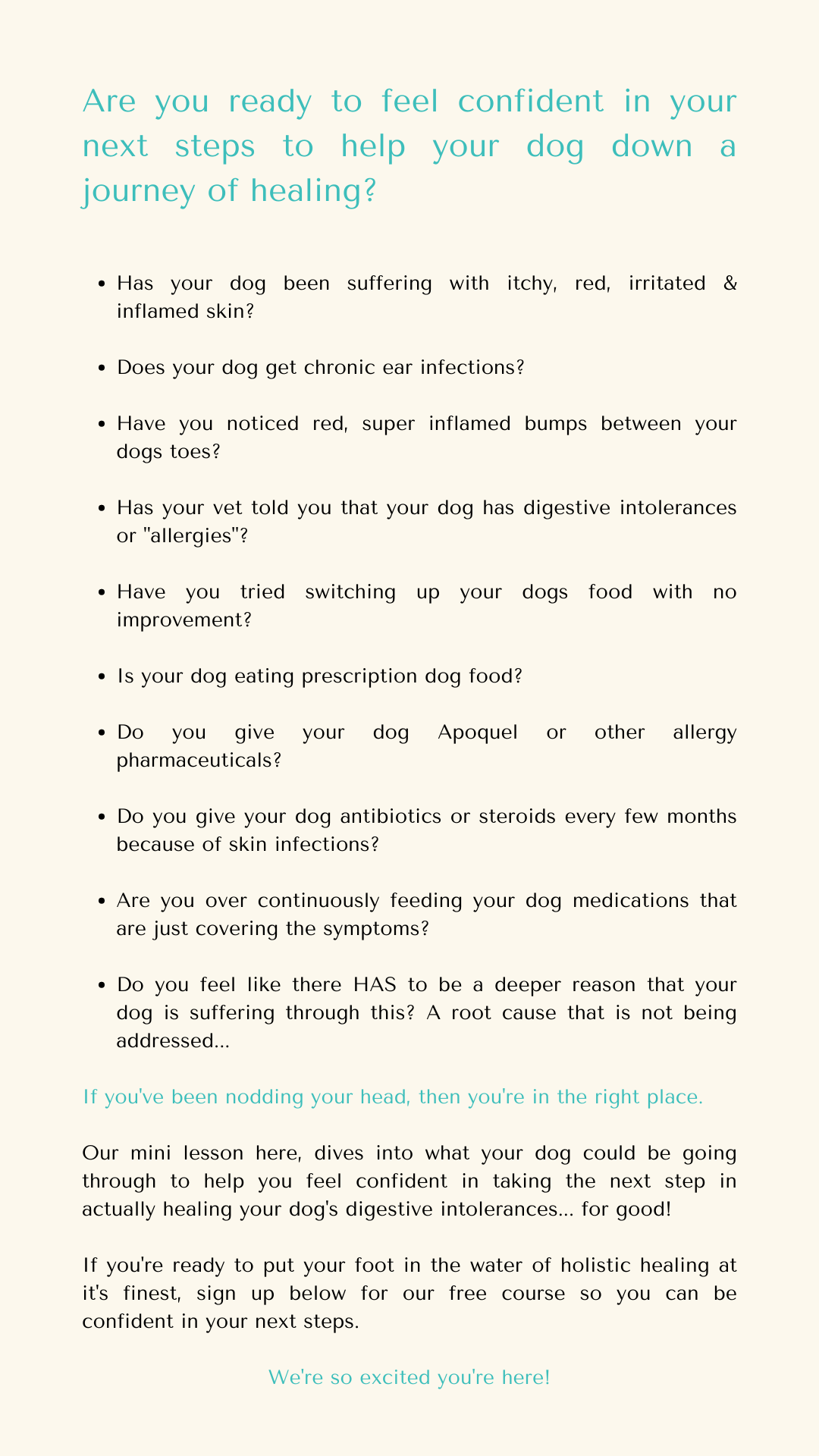 DOES YOUR DOG NEED LEAKY GUT RESET? HOW TO HEAL YOUR DOGS DIGESTIVE INTOLERANCES THROUGH LEAKY GUT RESET?