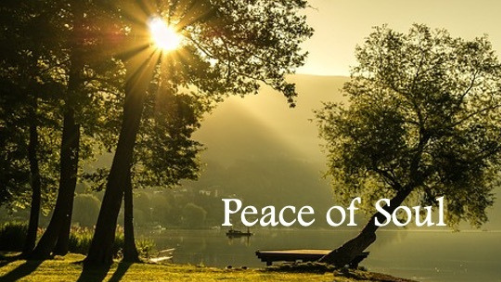Peace of Soul Conference