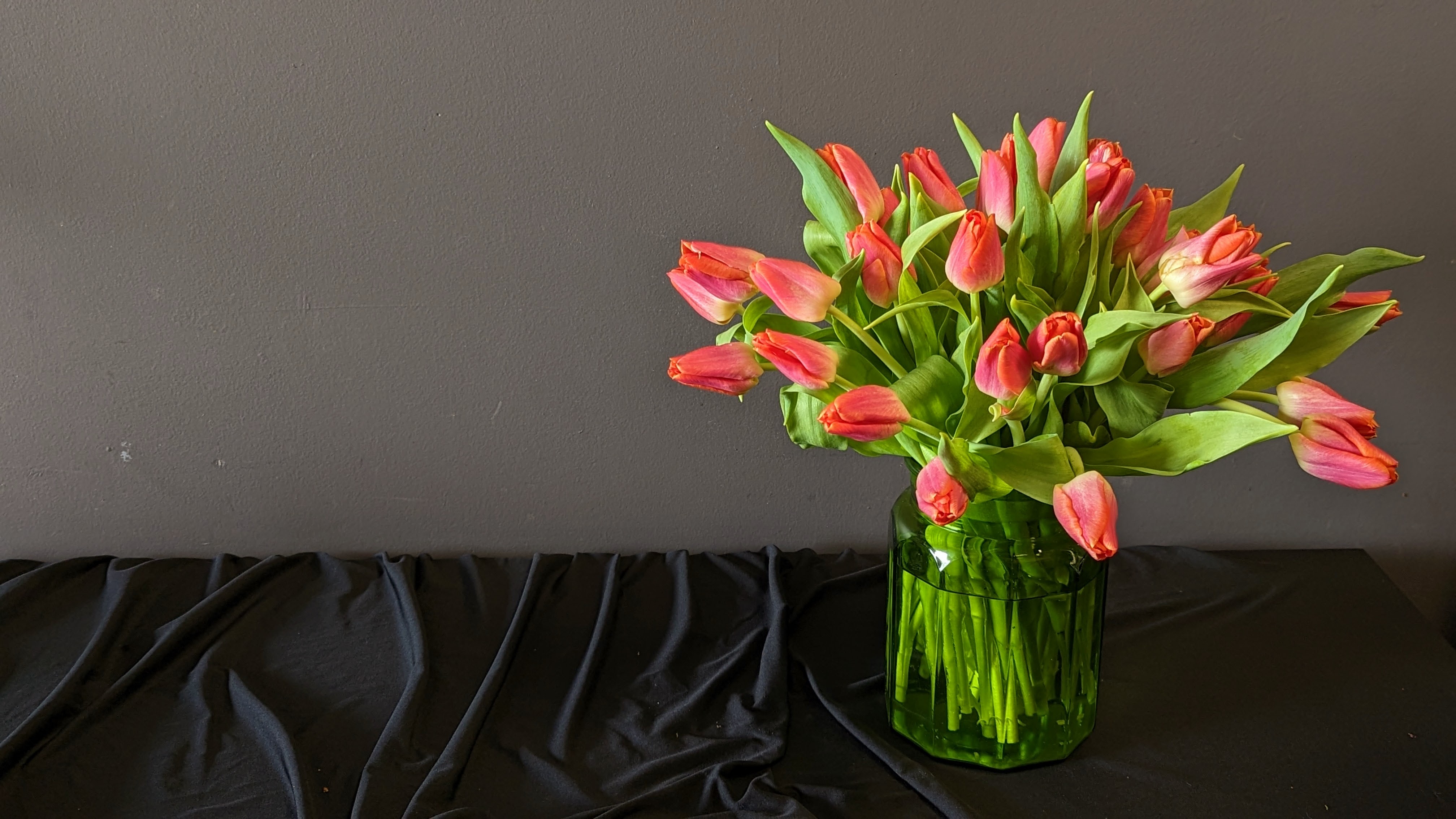 Tulips