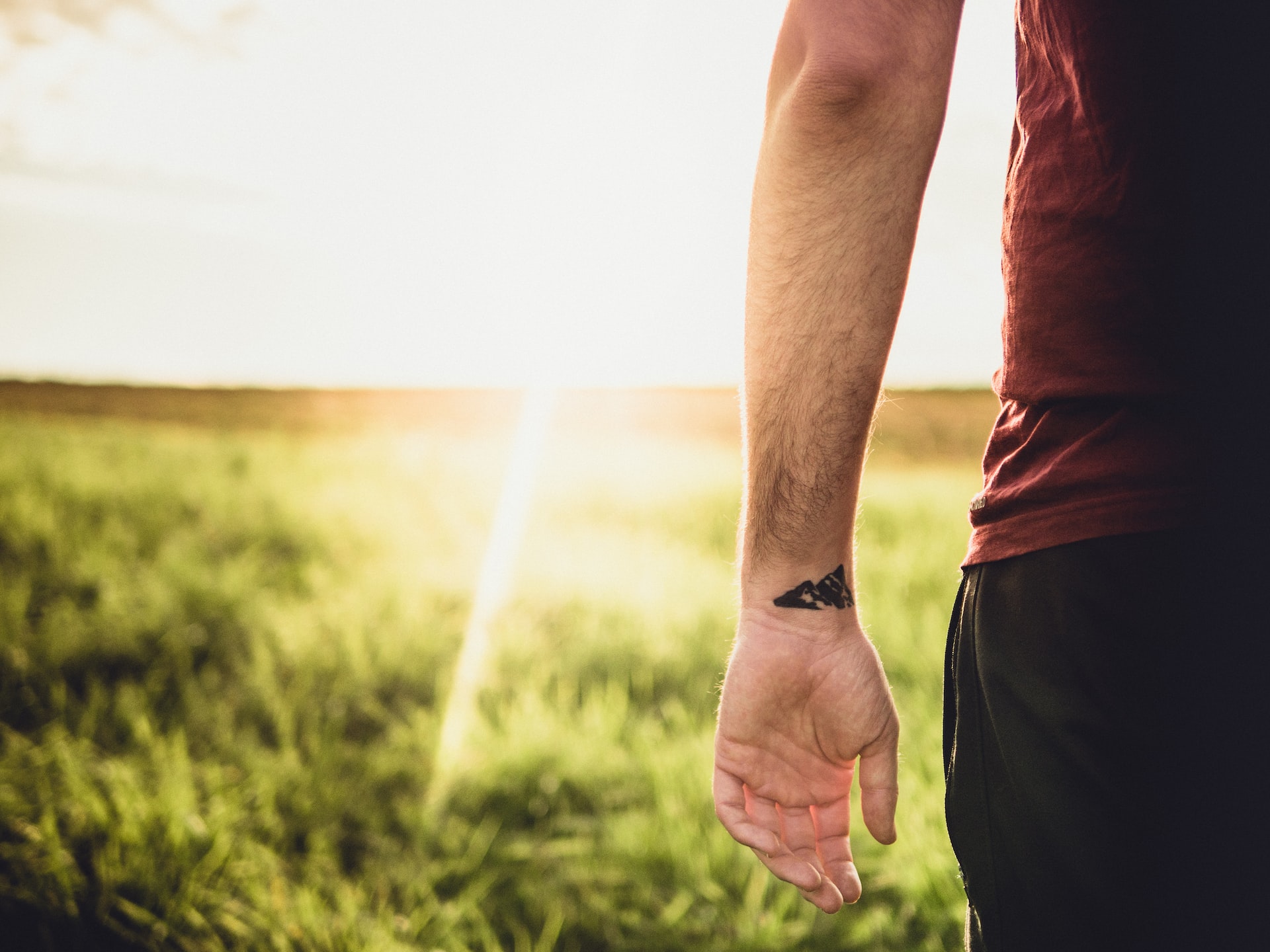 man, field, sunshine