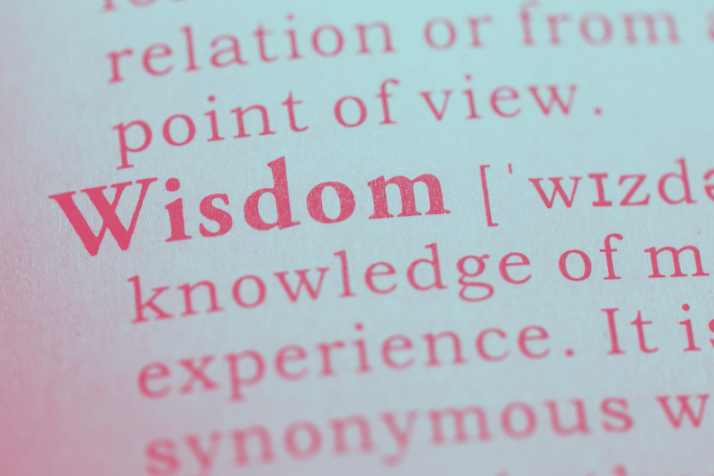 dictionary page of the word Wisdom