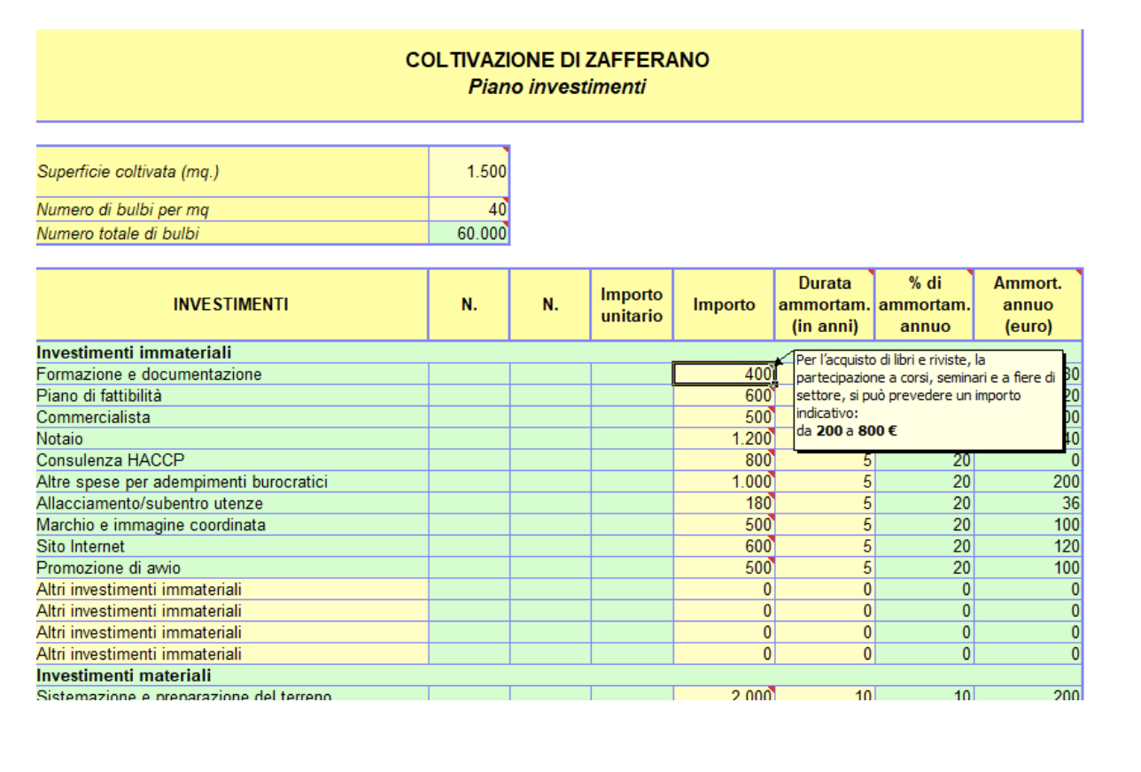 business plan zafferano