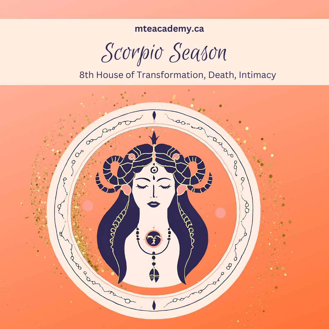 Explore the Teachings of Scorpio Season