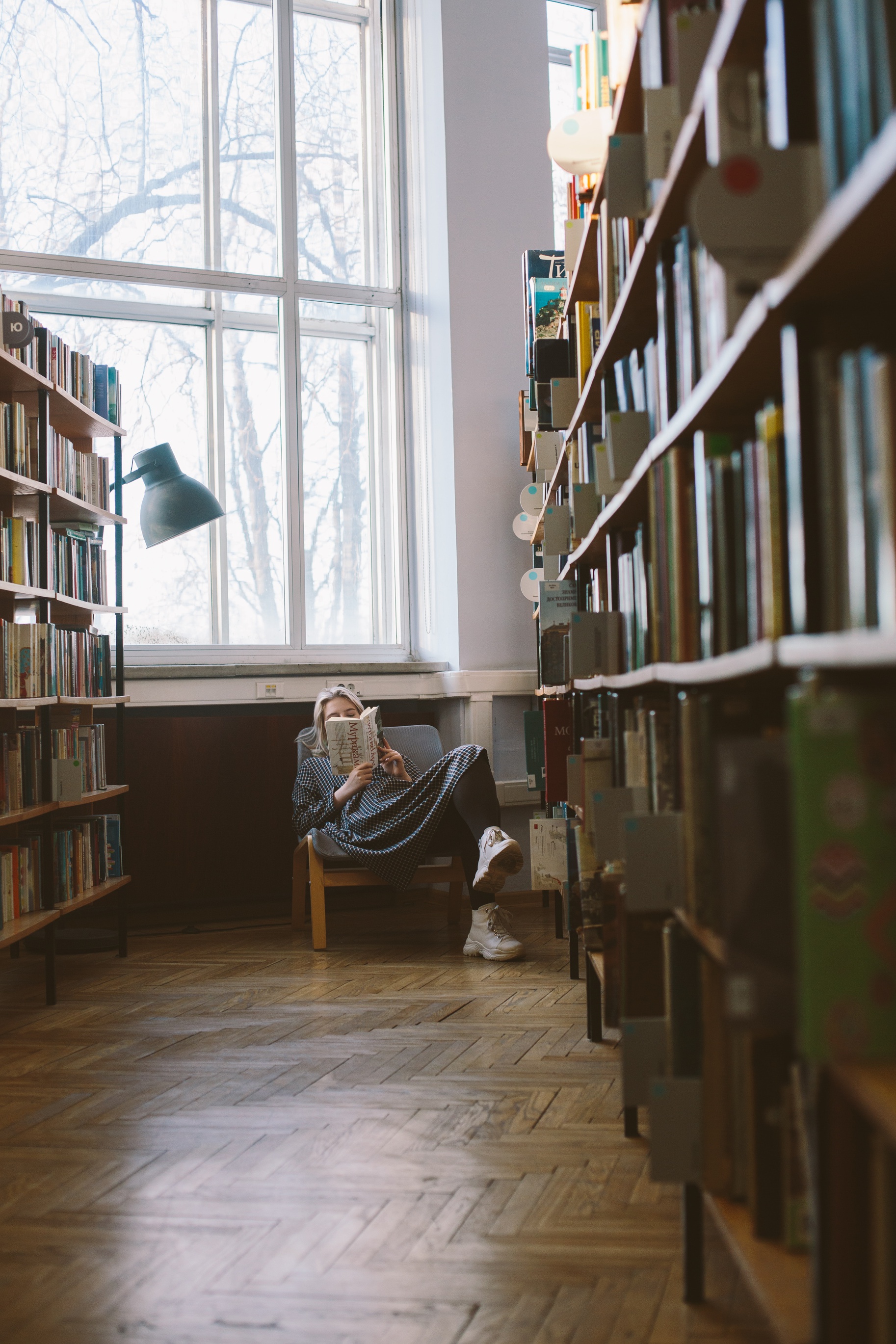 in the foreground are library shelves filled with books; in the background, a person sits on a low chair, their face buried in a book