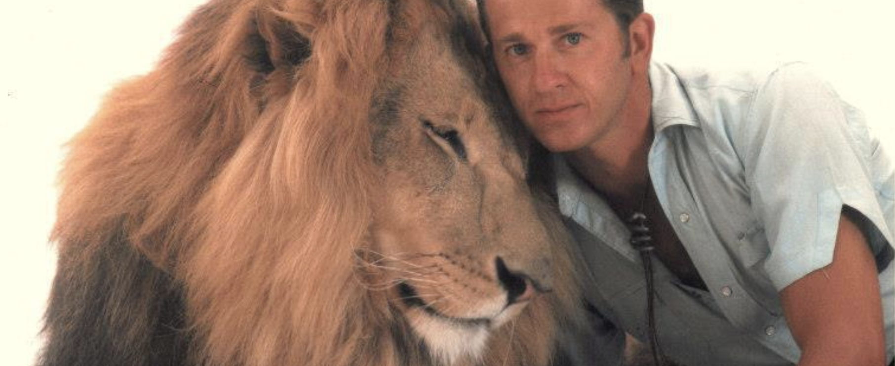 Zamba the Lion, Ralph Helfer, Affection Training