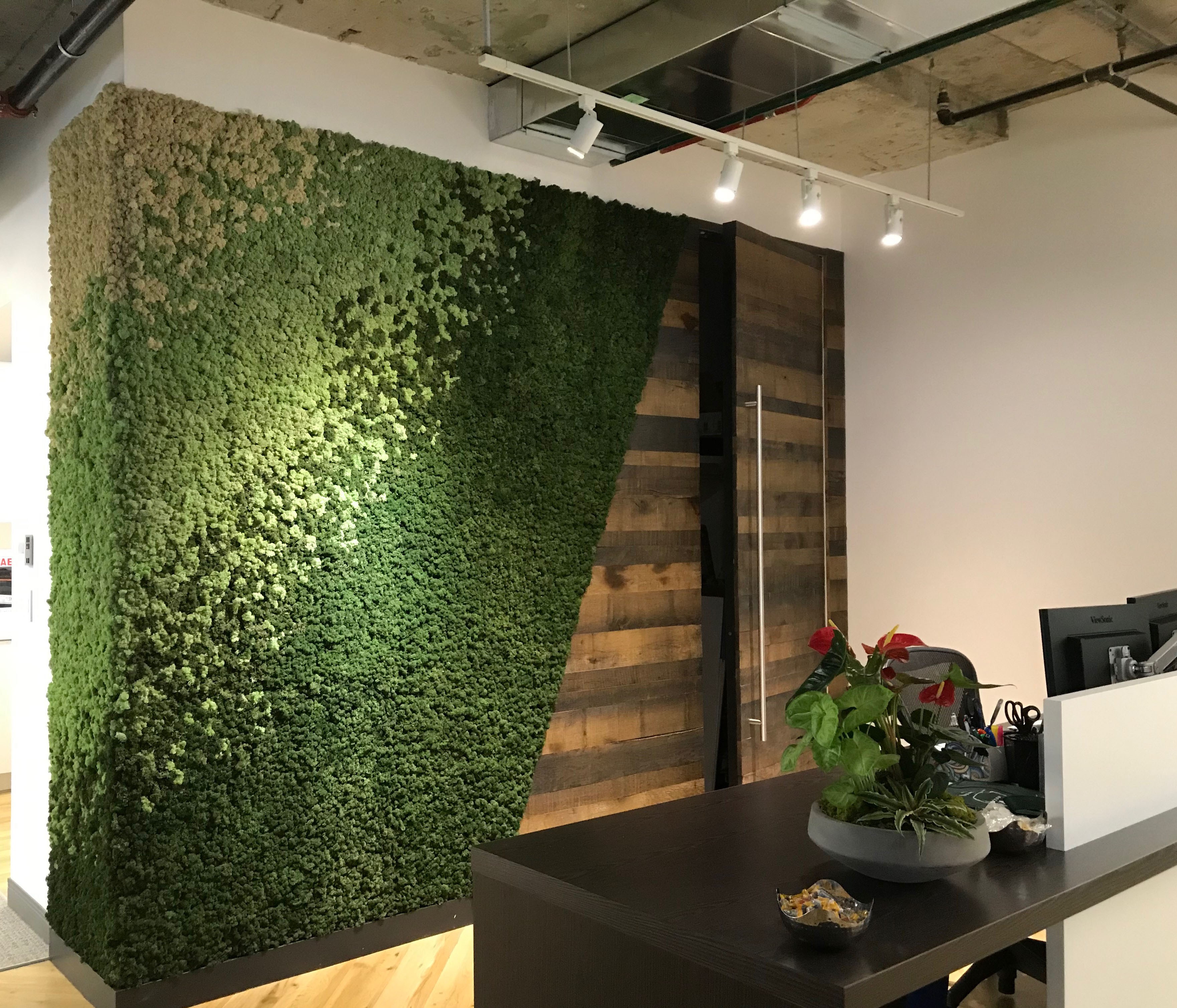 Introducing Moss Walls