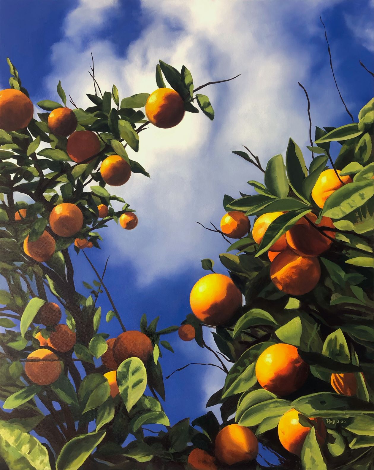 "Orange Tree" by Deborah Hotchkiss