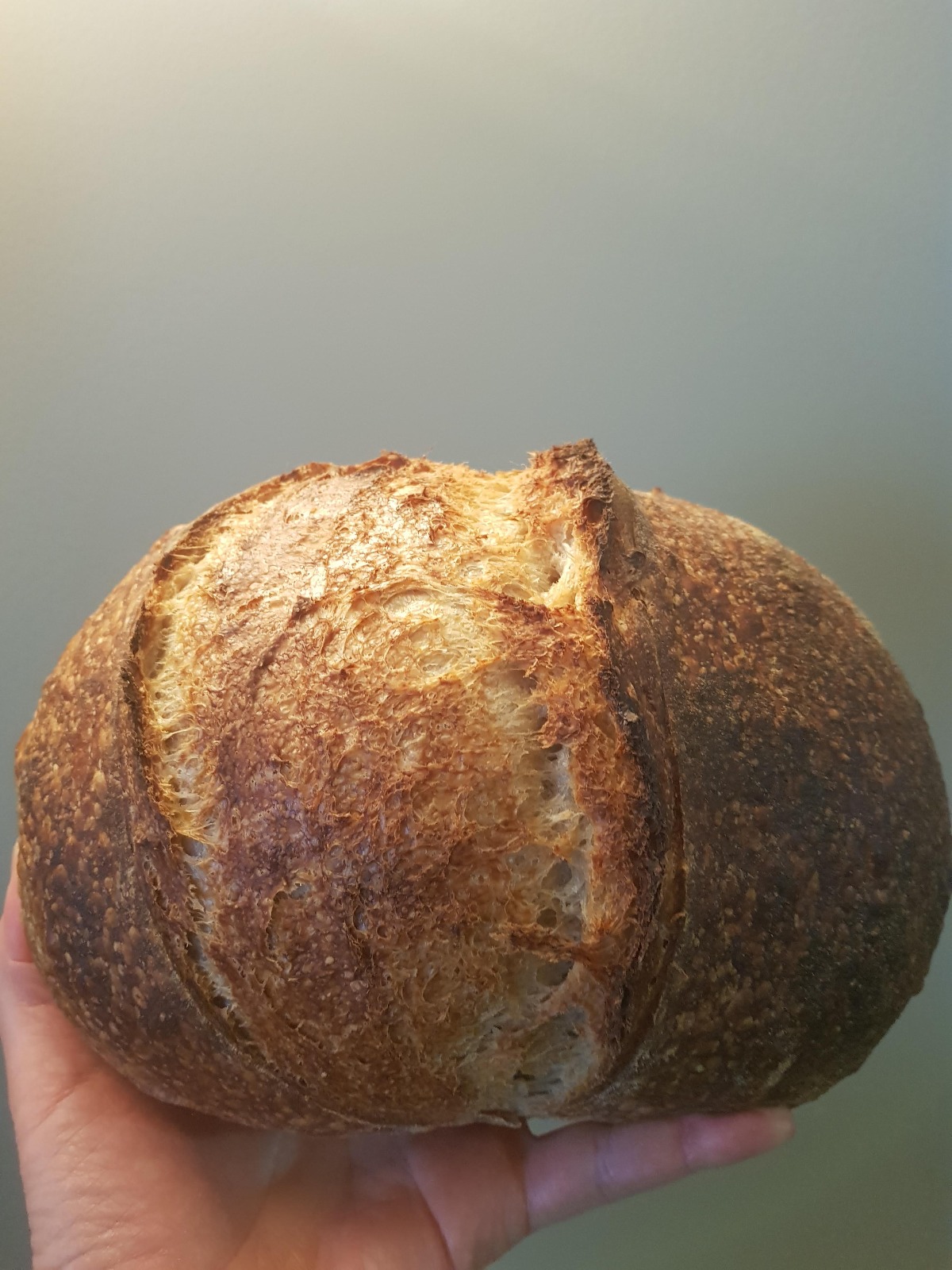 Sourdough 