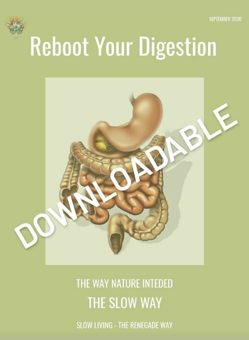 Reboot Your Digestion