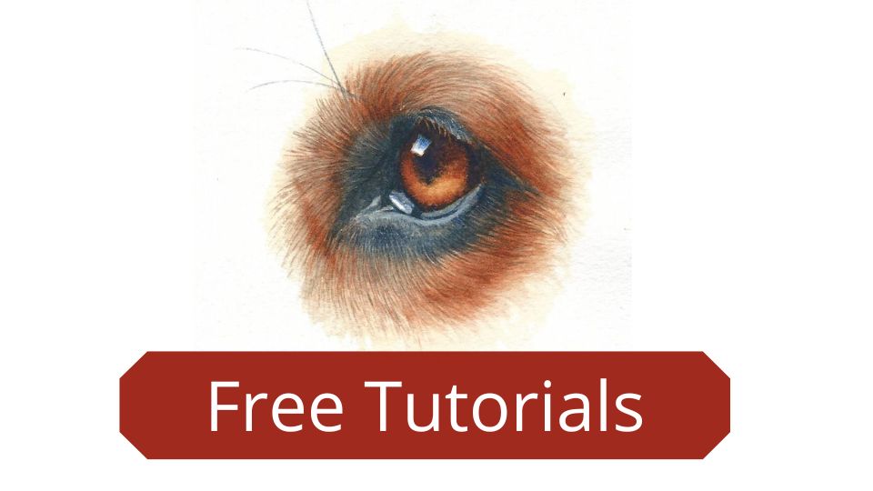 free tutorials rebecca rhodes