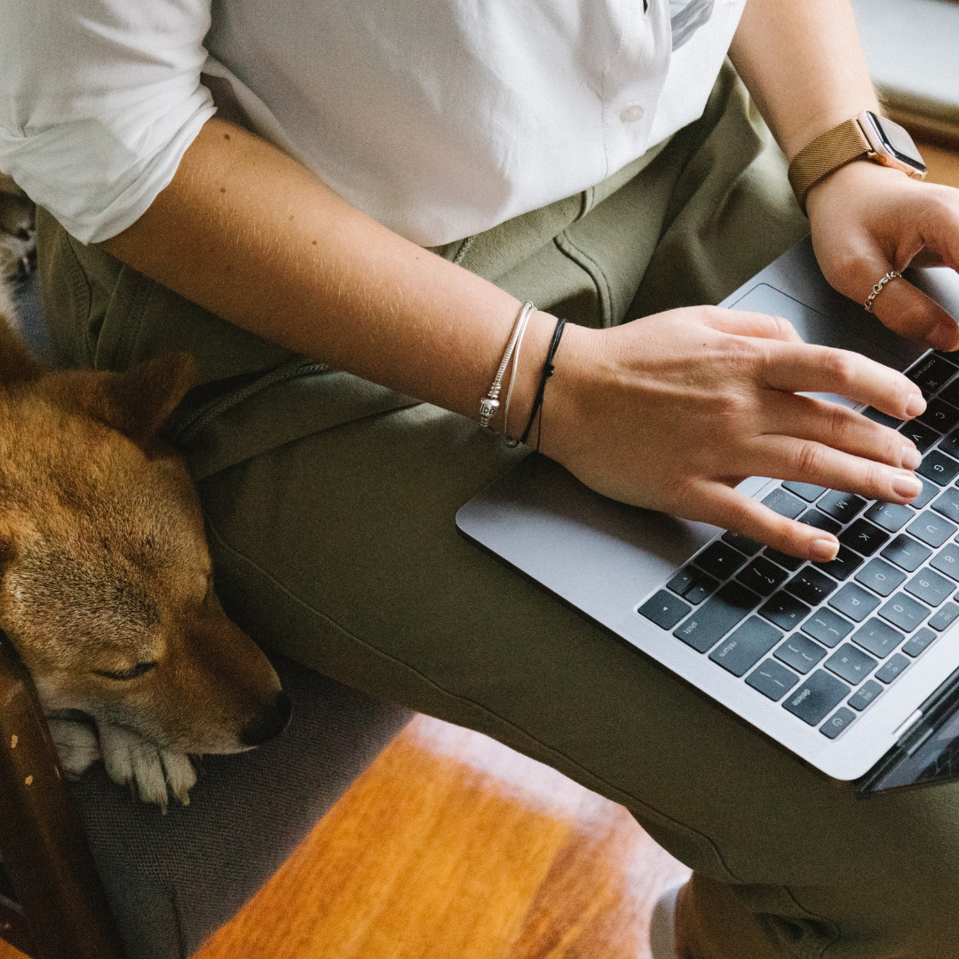 Professional Pet Sitting as a Career Course