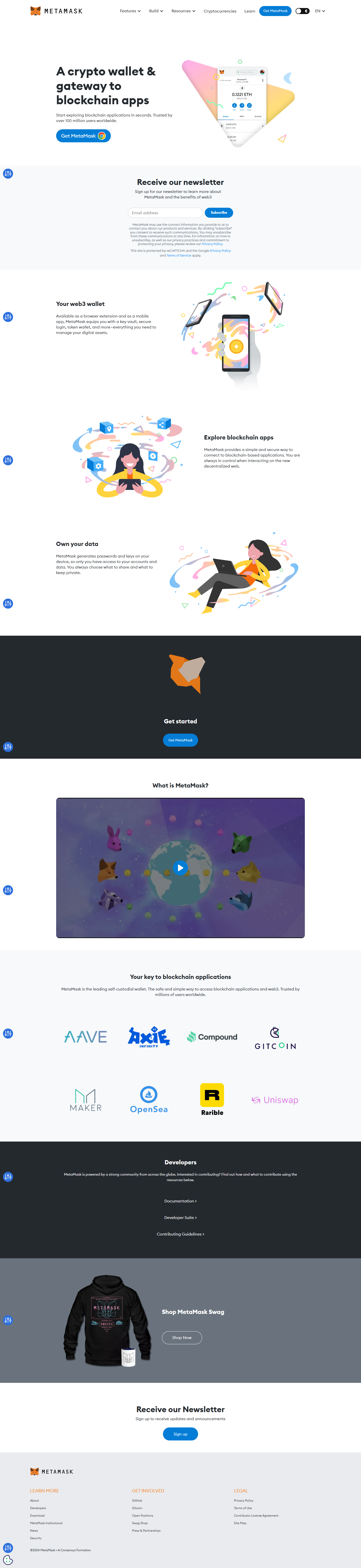 Metamask Wallet