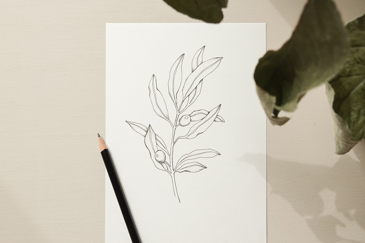 Drawing course Botanical art tutorials for beginnersOnline drawing art classes