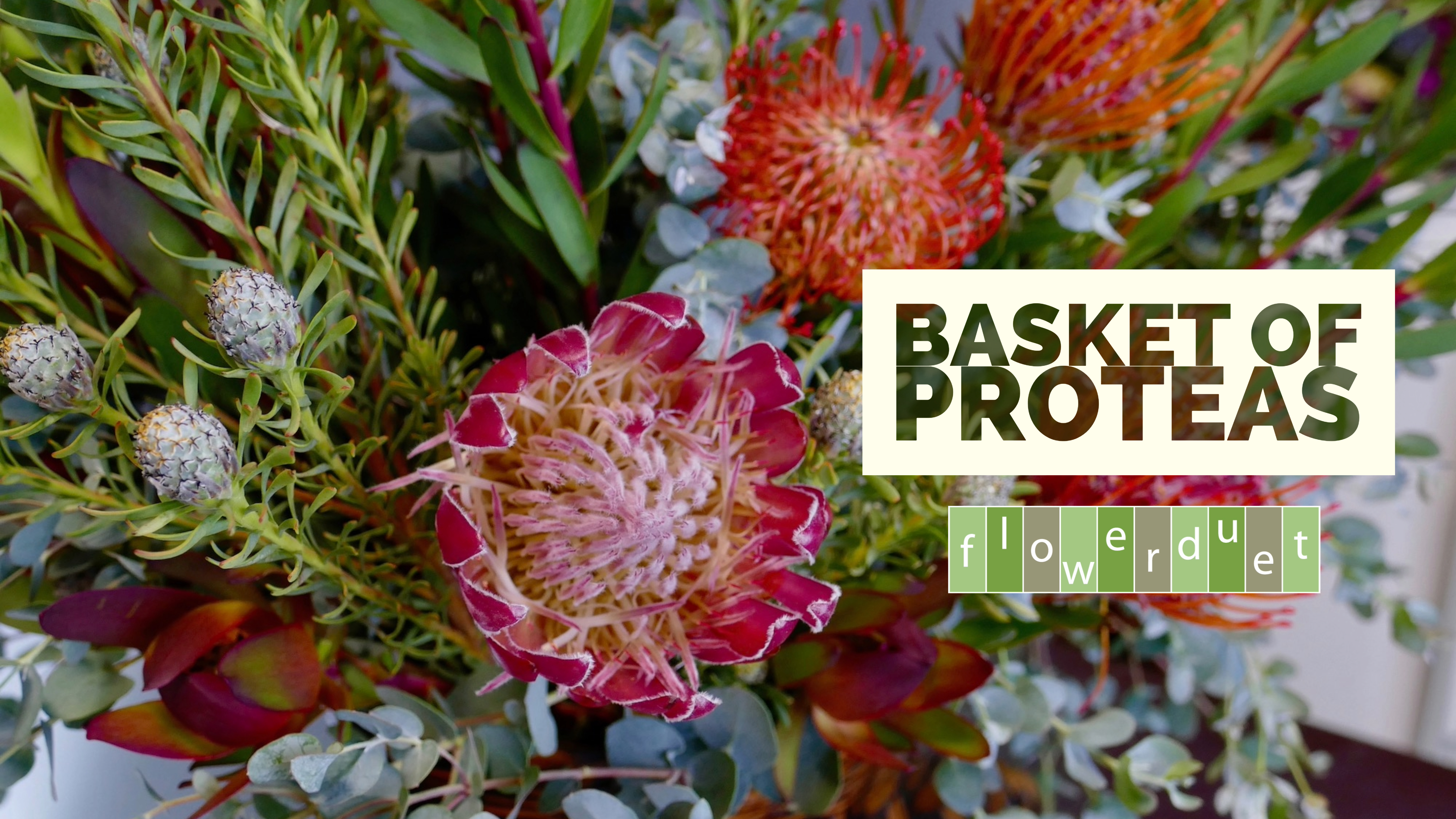 Basket of Proteas