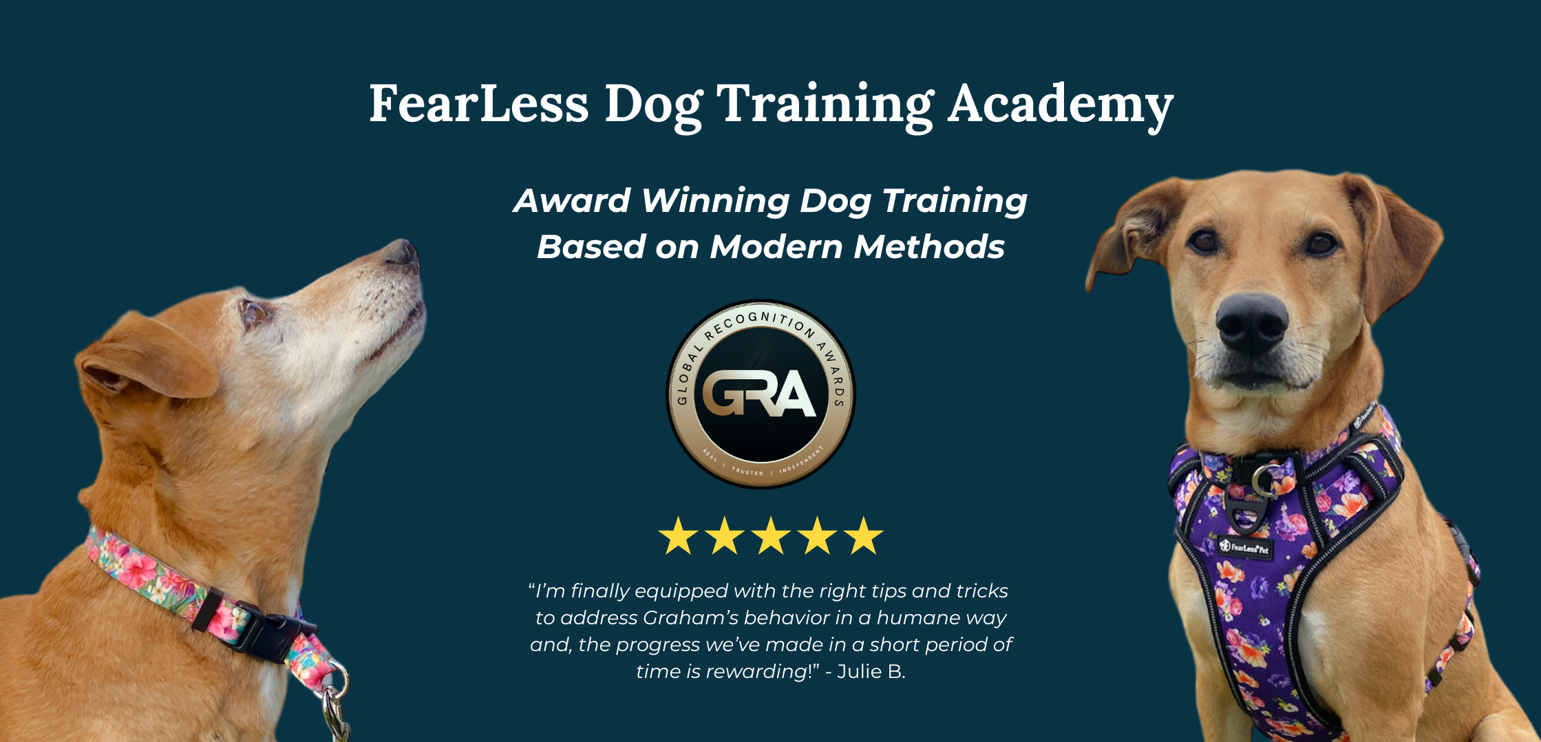 an image of a website banner for fearless pet dog training academy