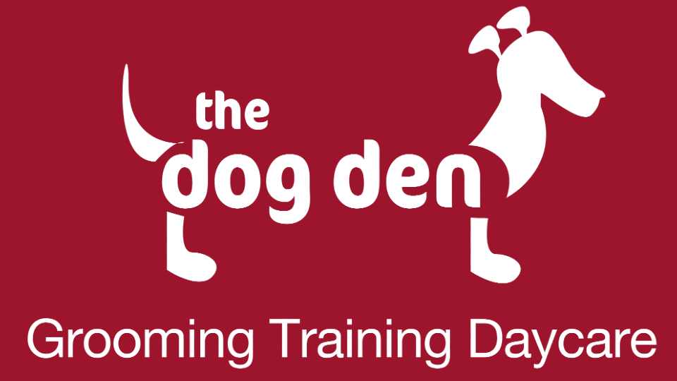 Den doggy hot sale daycare