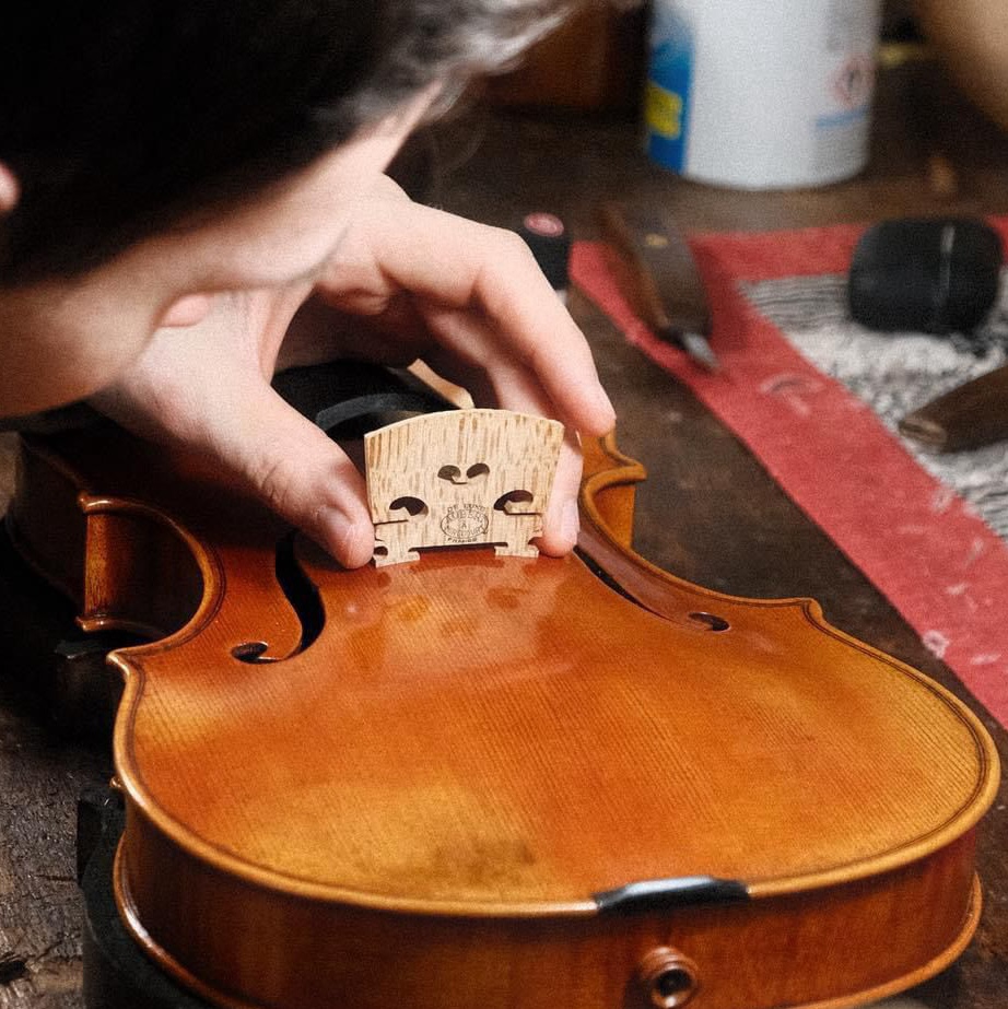 Edgar's Online Violinmaking Academy