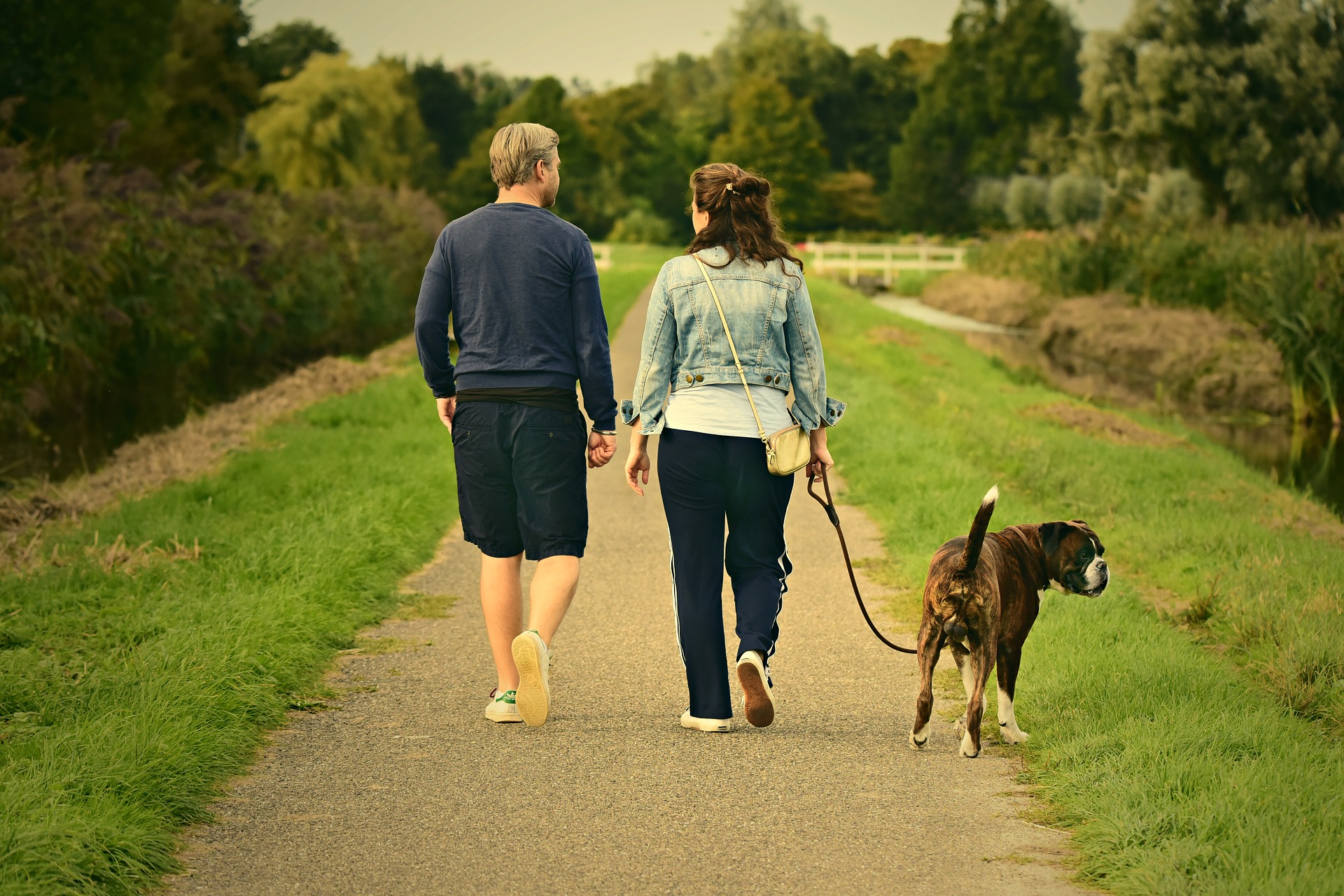 A man and woman walking a dog in a park.