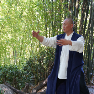 Grand Master Shi Yanxu demonstrating Qigong