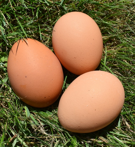 image of three eggs