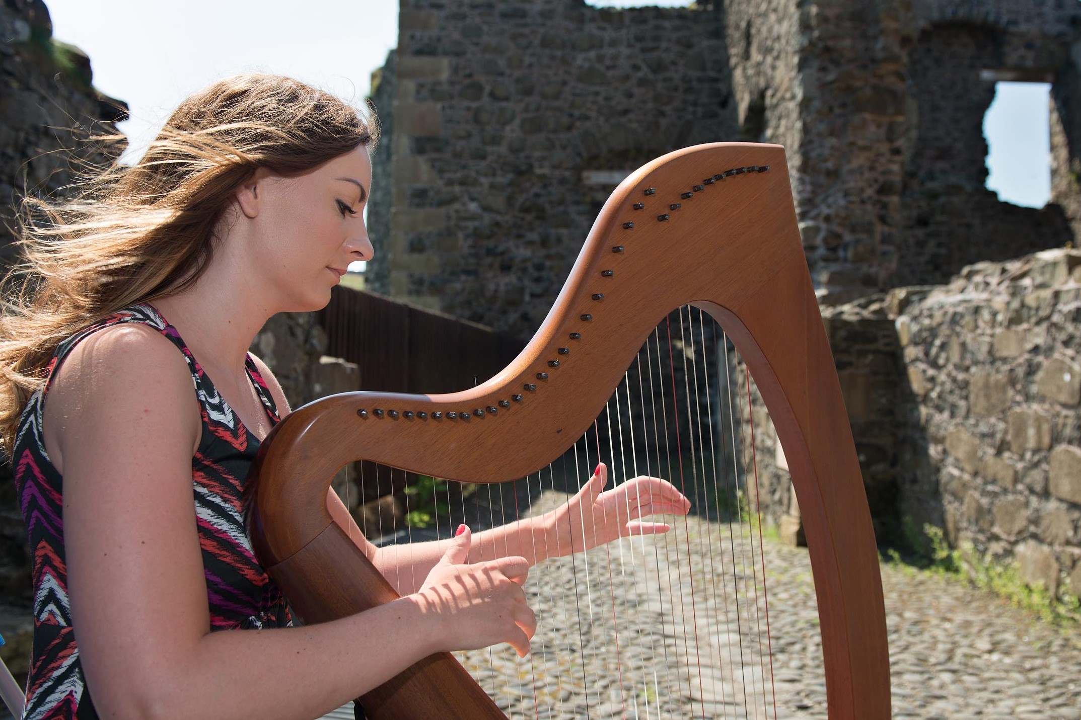 Introduction To Irish Traditional Music Intercultural Ireland