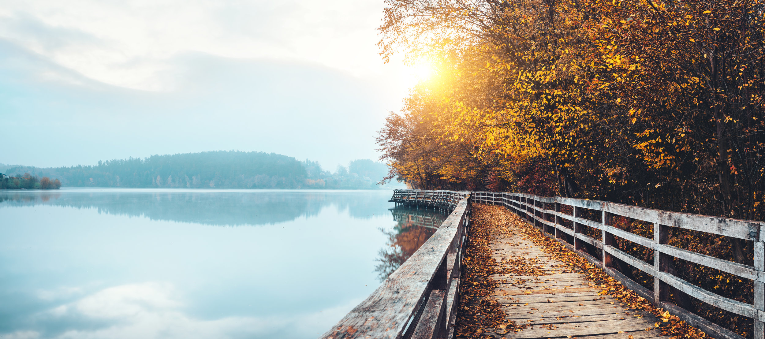 Walkway along serene lake in the autumn