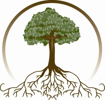 The roots and branches of Wellness - a functional and integrative nutrition approach from WLT Wellness Academy