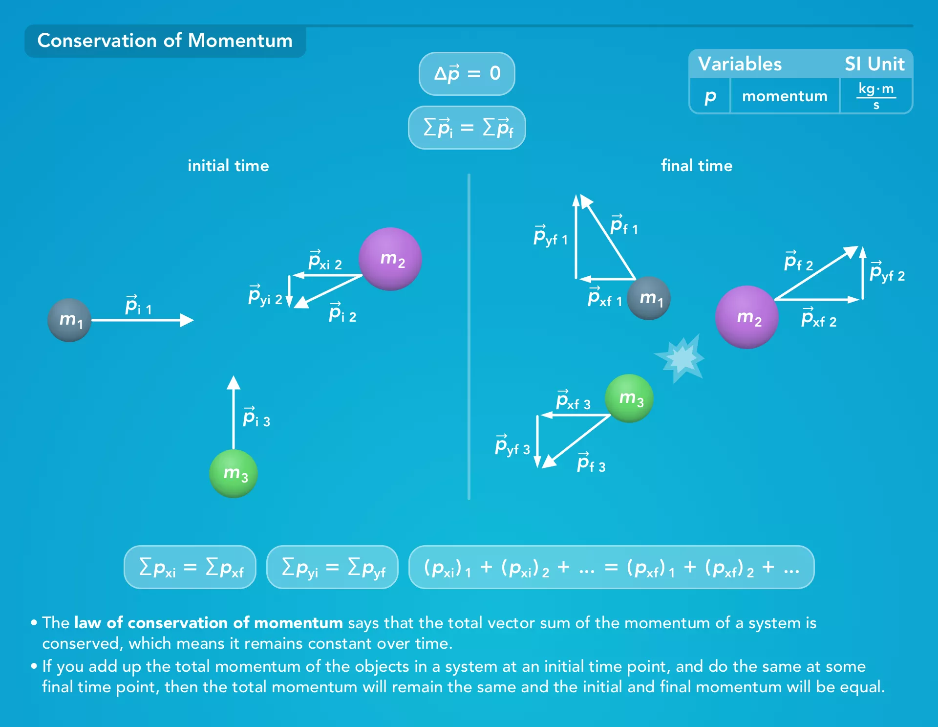 Momentum study quide