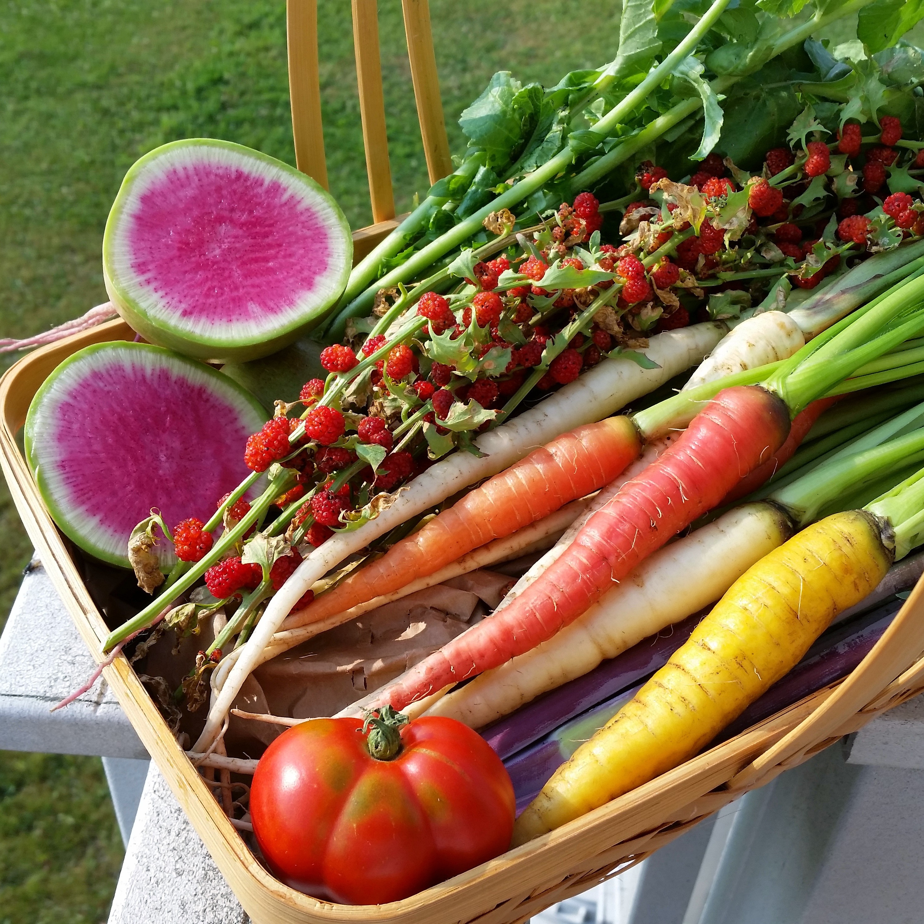 basket of vegetables