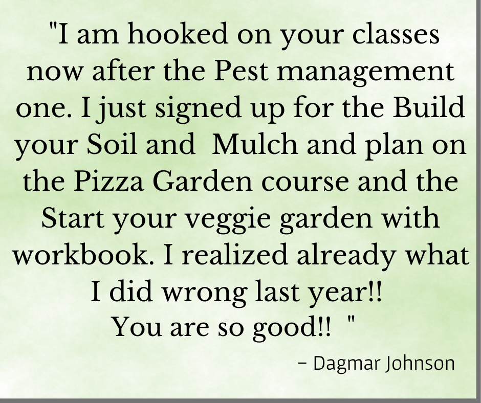 hooked on debbys organic garden classes testimonial