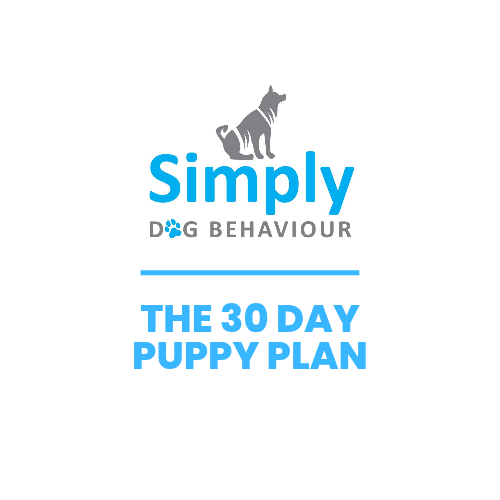 Puppy Training Online