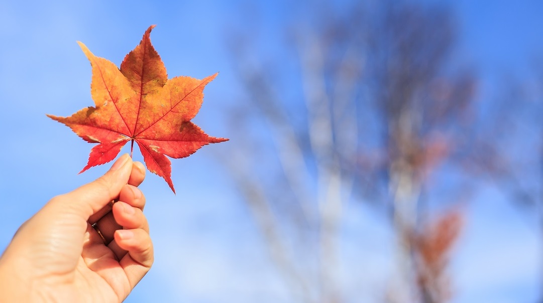 Sveriges mest använda träningsprogram i mindfulness och används inom svensk sjukvård för behandling av depression, oro, ångest, utmattningssyndrom, stress, smärta och sömnproblem. Börja din regelbundna träning i mindfulness redan idag.