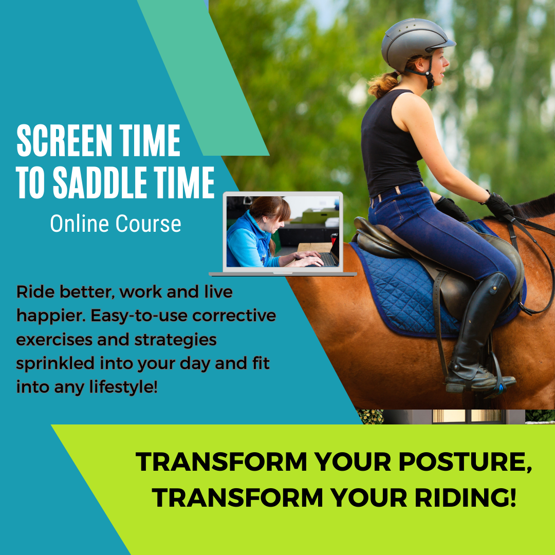 Horse riding position