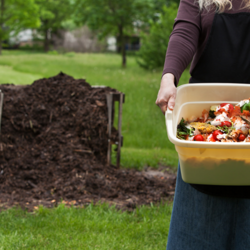 Beginning Gardening Course Karen Creel