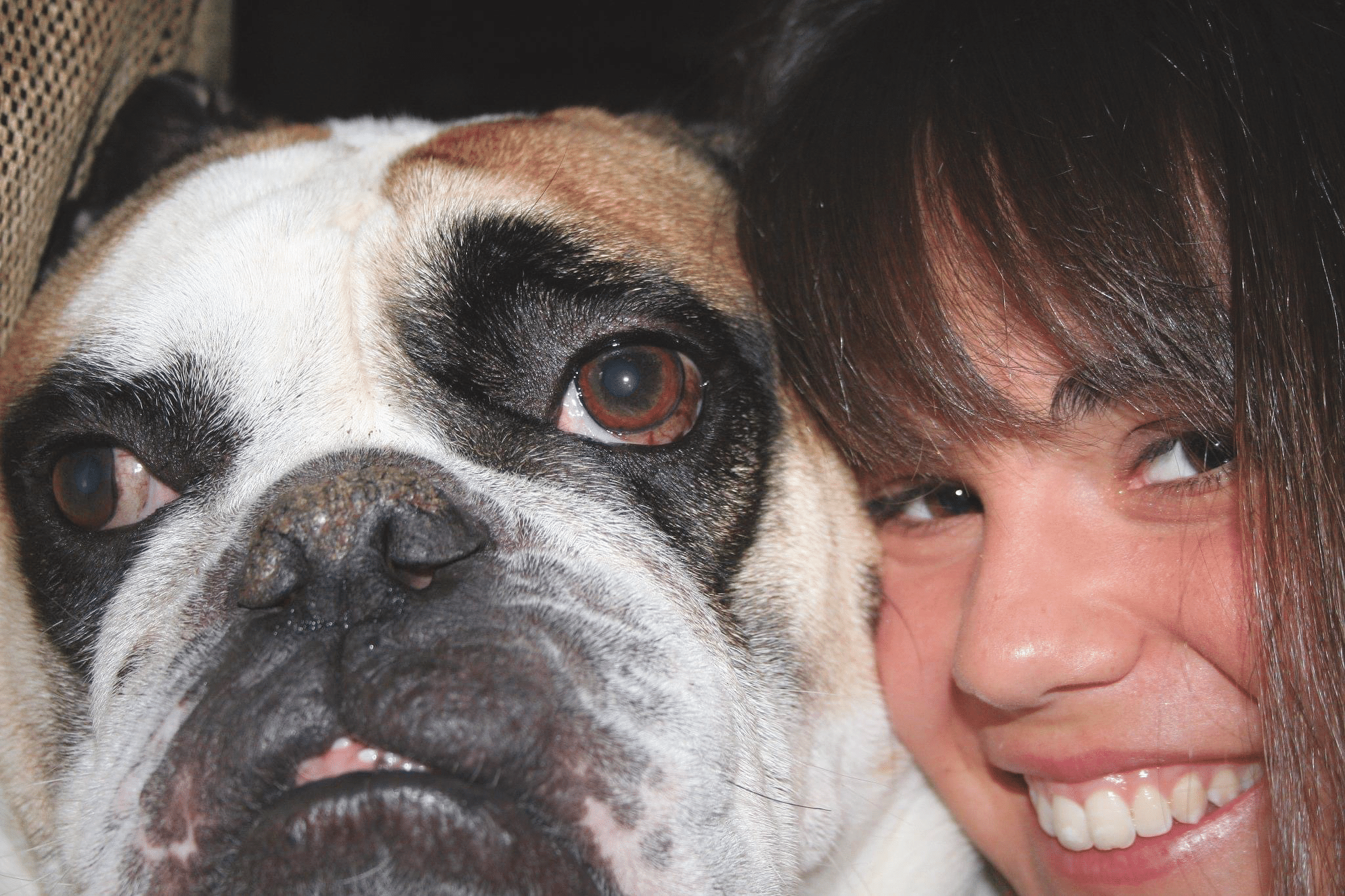 Picture of Rocco the Bulldog and one of his favorite people, his niece. He died suddenly in 2011 and we still miss him. He is an inspiration for our pet loss and grief work.