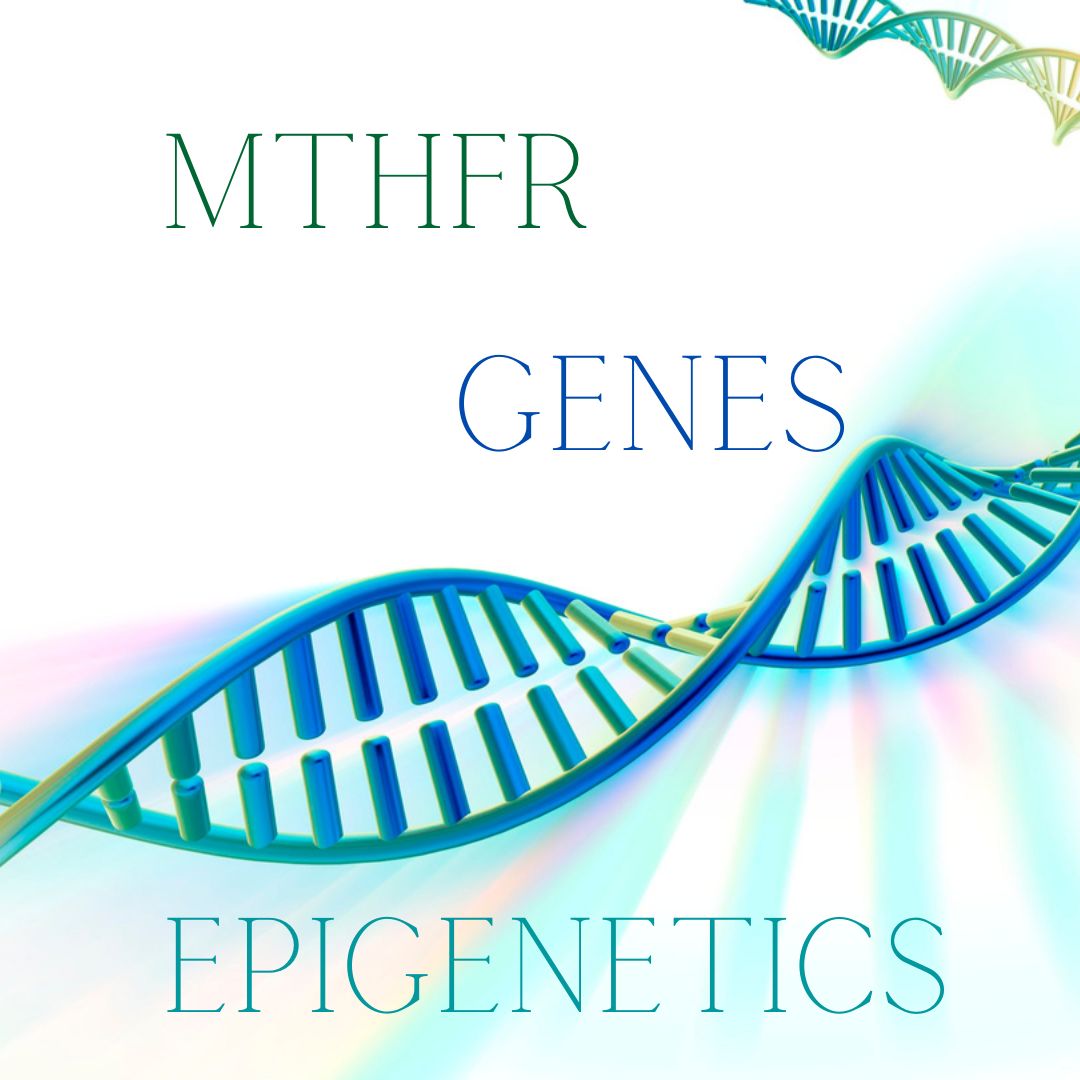 MTHFR course, Gene SNPs, epigenetics, MTHFR course, MTHFR class, epigenetics course, epigenetics class