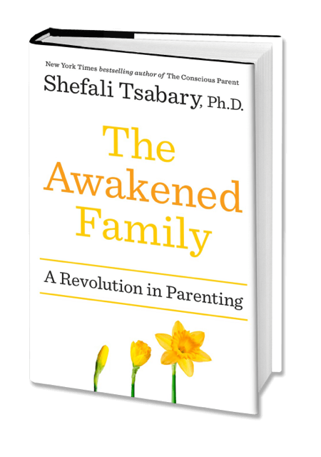 The Awakened Family Book