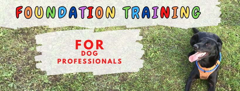 Foundation Training FOR DOG PROFESSIONALS