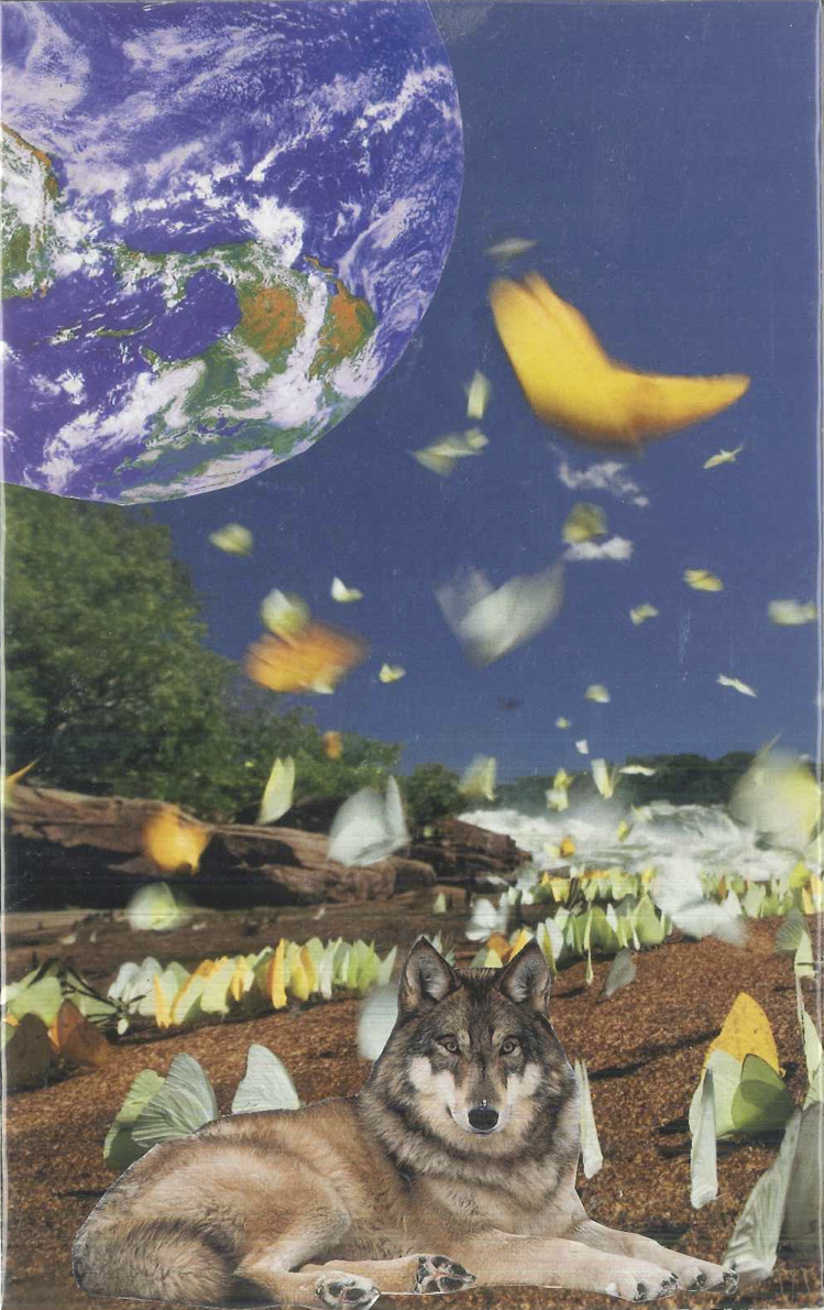 A SoulCollage card of a turtle surrounded by fish swimming under water. Below the turtle, still underwater, birds fly, and below them, zebras run on the ocean floor