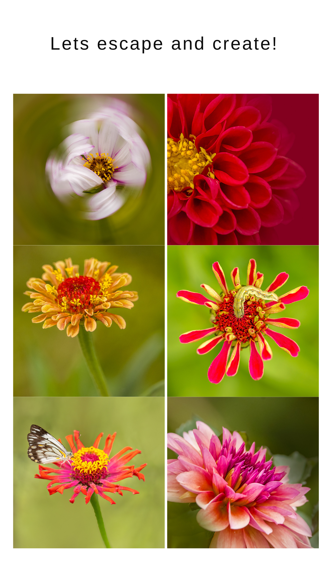 flower photgrapher cheryl eagers takes a photography tour in queensland